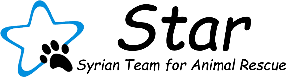 Logo 2